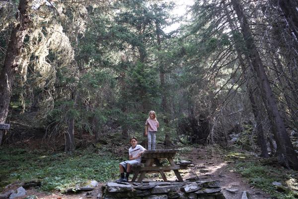 Two children are captured in a serene forest setting, with one boy sitting on a wooden picnic table and a girl standing behind it